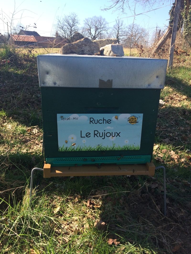La ruche Le Rujoux