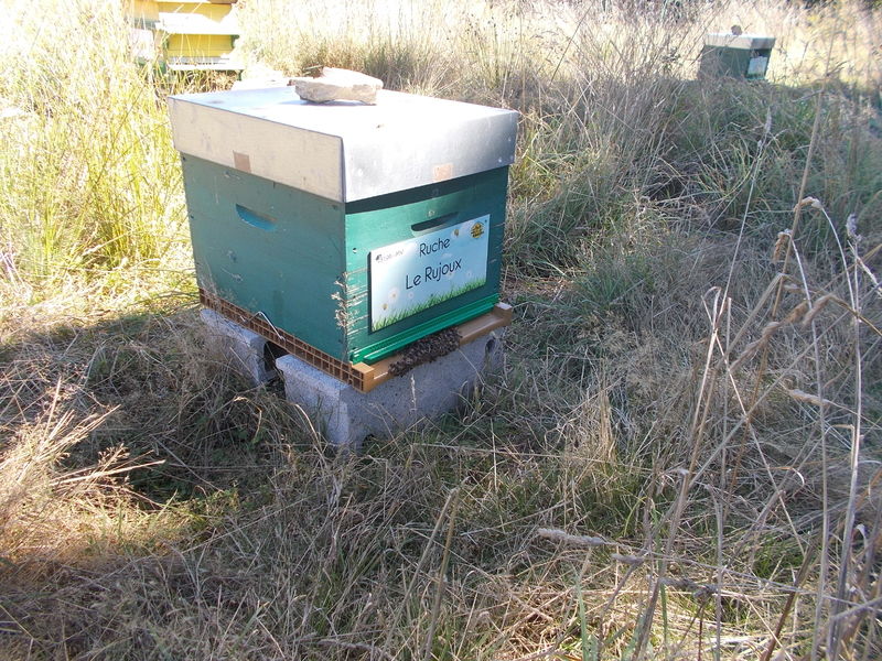 La ruche Le Rujoux