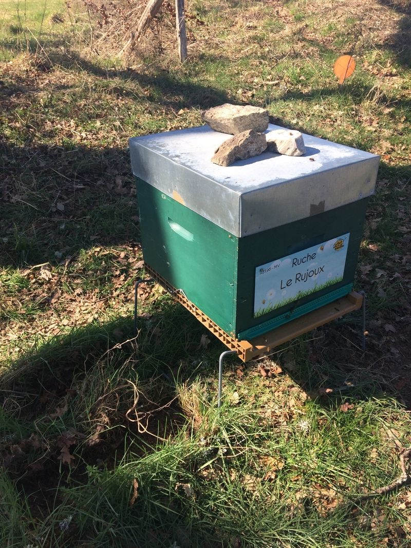 La ruche Le Rujoux