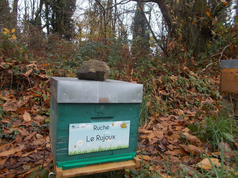 La ruche Le Rujoux