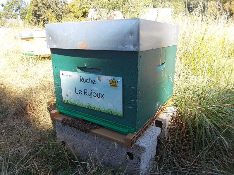 La ruche Le Rujoux