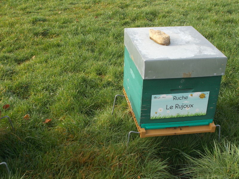 La ruche Le Rujoux
