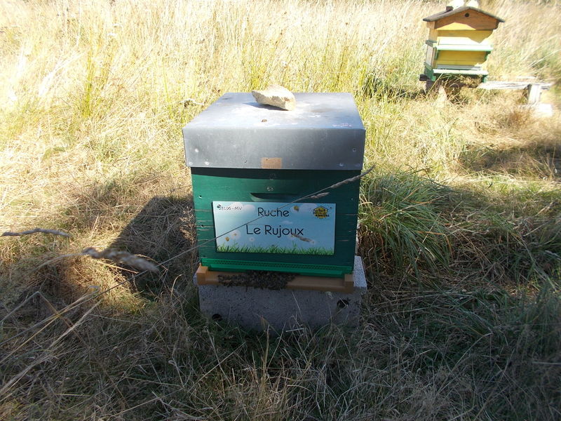 La ruche Le Rujoux