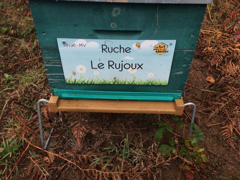 La ruche Le Rujoux