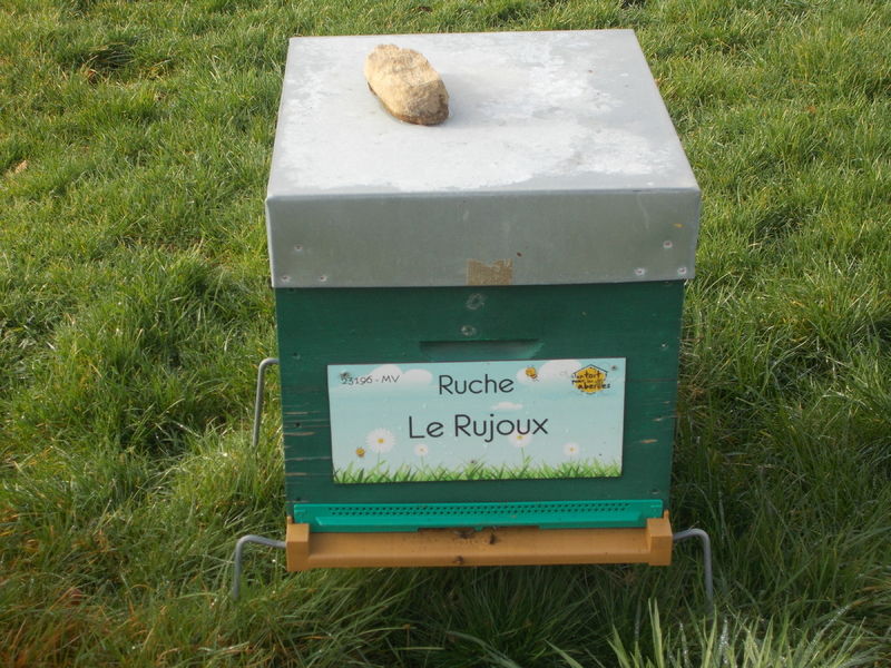 La ruche Le Rujoux
