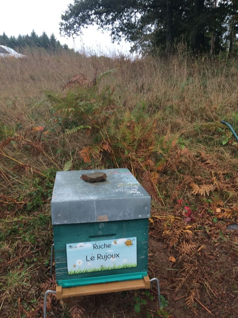 La ruche Le Rujoux