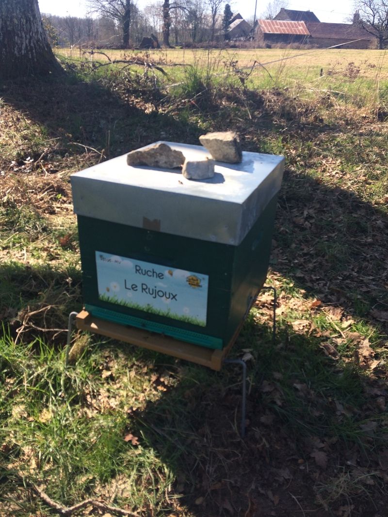 La ruche Le Rujoux