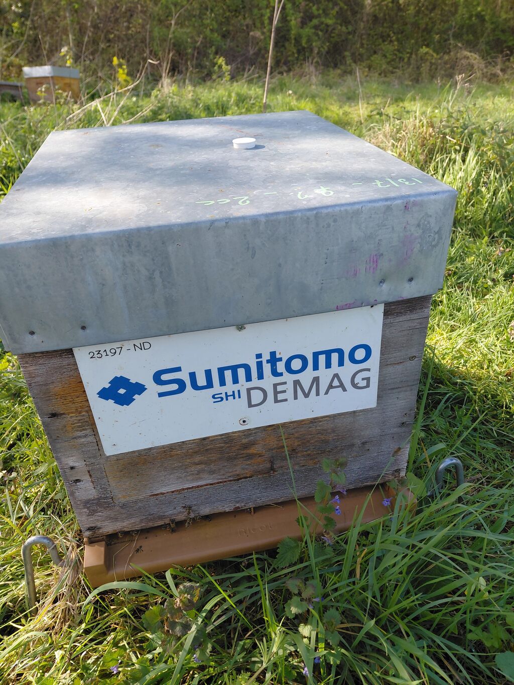 La ruche Sumitomo Demag