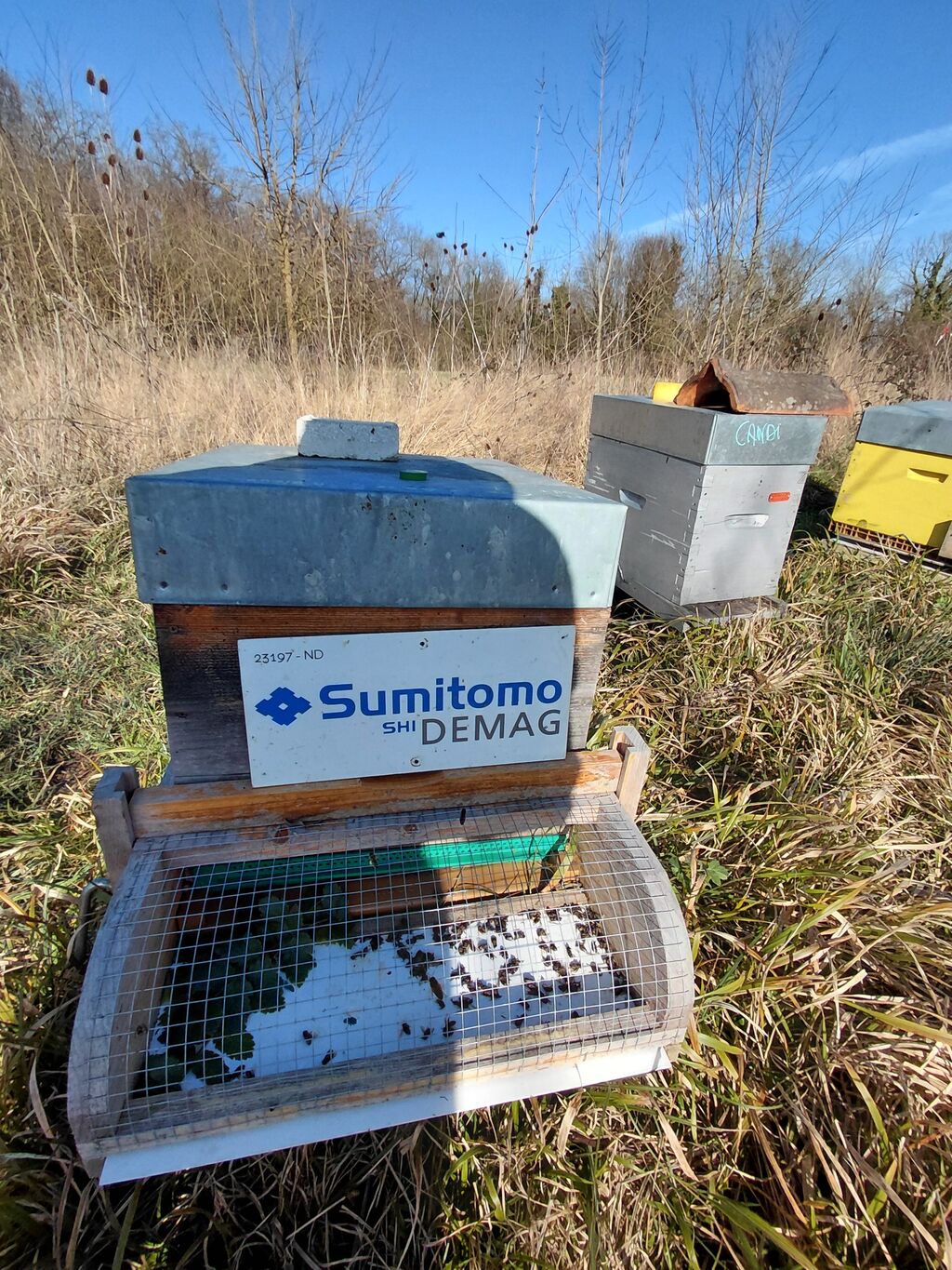 La ruche Sumitomo Demag