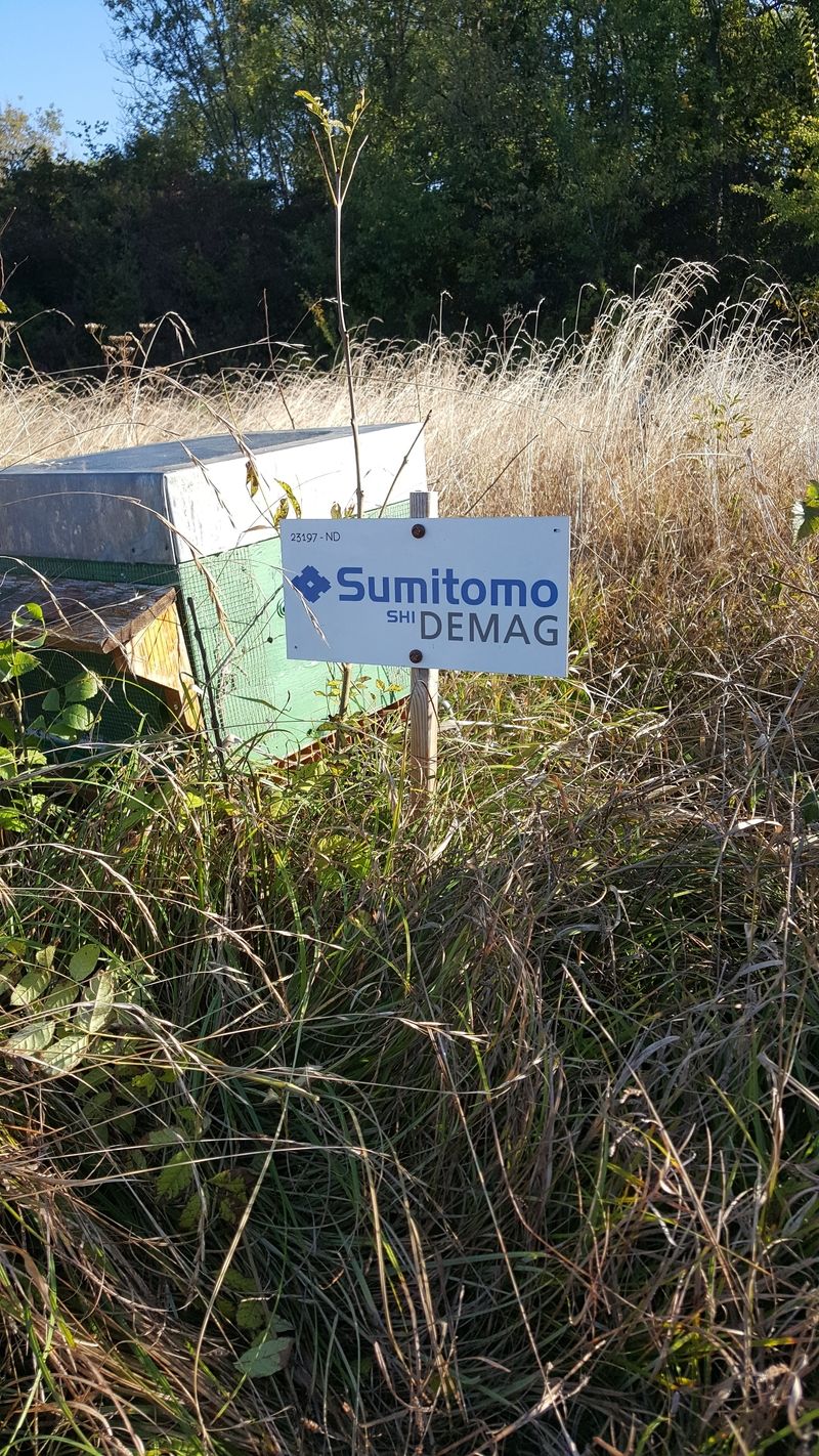 La ruche Sumitomo Demag