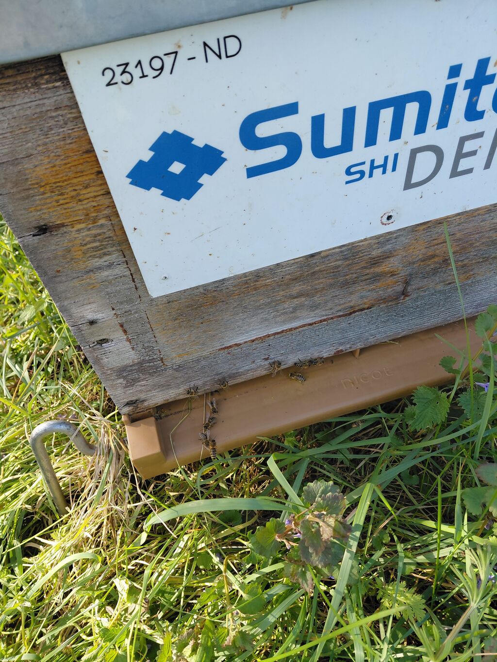 La ruche Sumitomo Demag