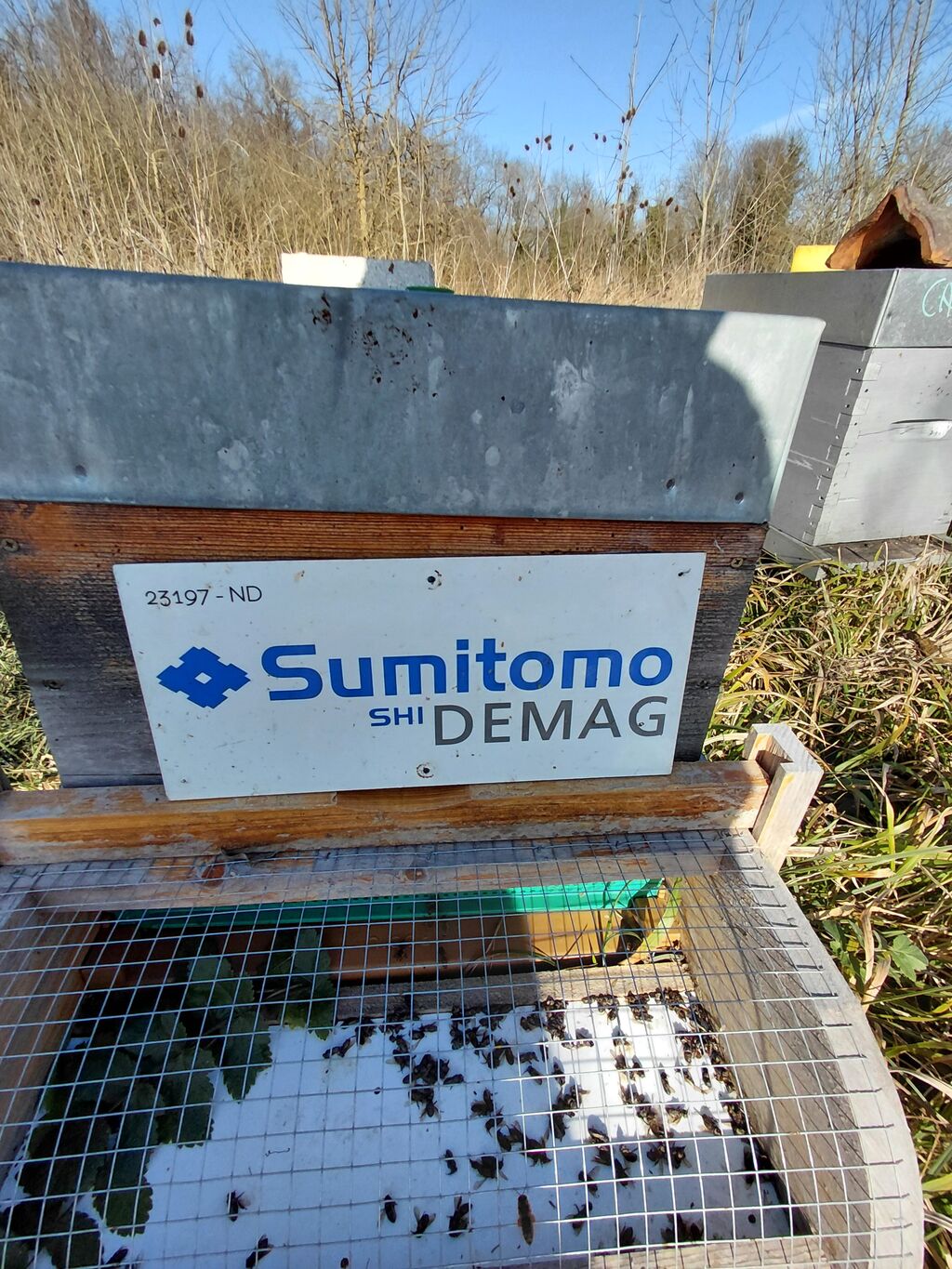 La ruche Sumitomo Demag