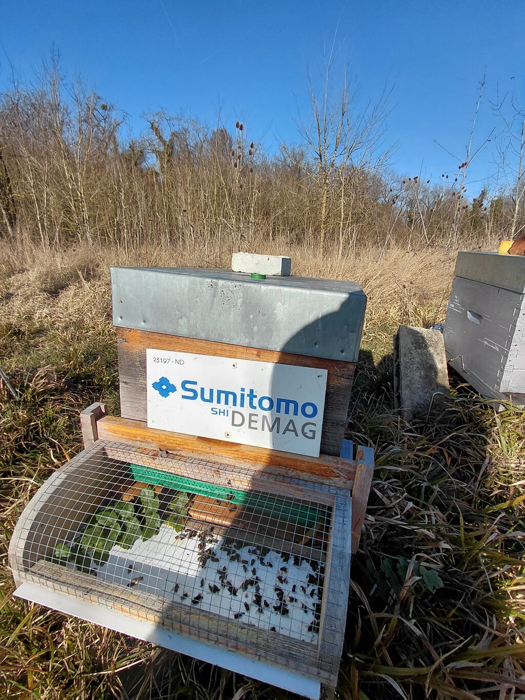 La ruche Sumitomo Demag