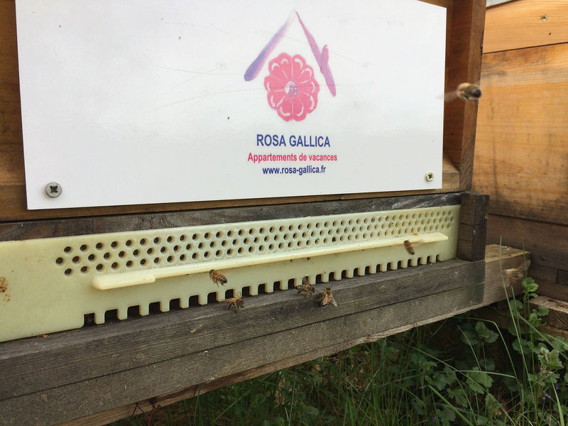 La ruche Rosa Gallica Sarl