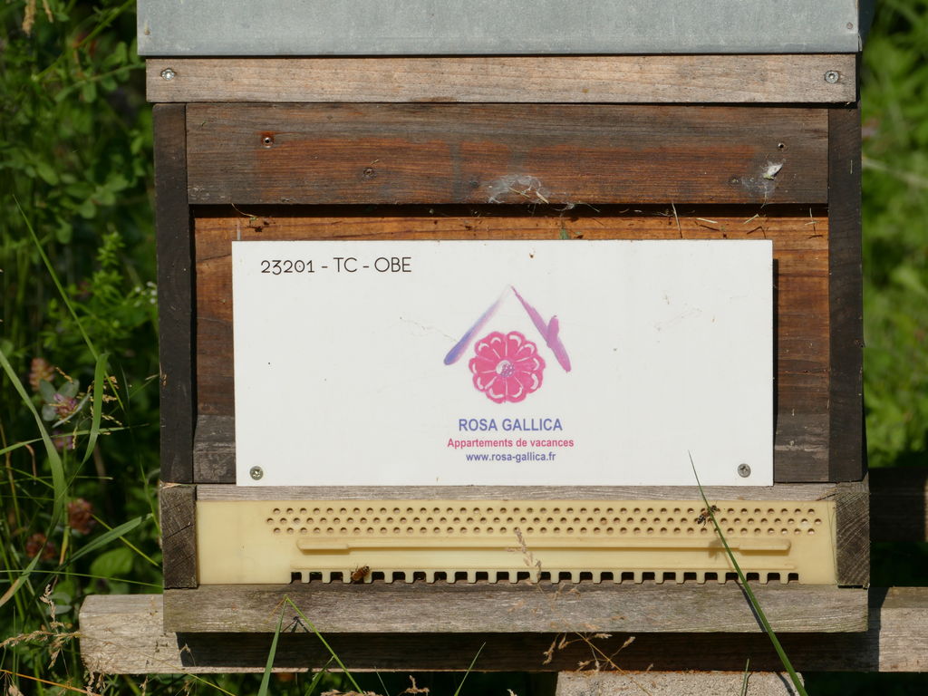 La ruche Rosa Gallica Sarl
