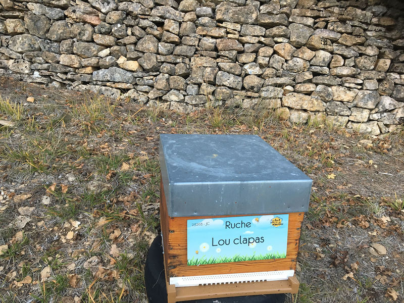 La ruche Lou clapas