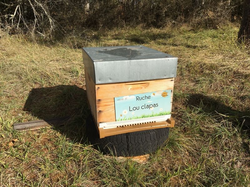 La ruche Lou clapas
