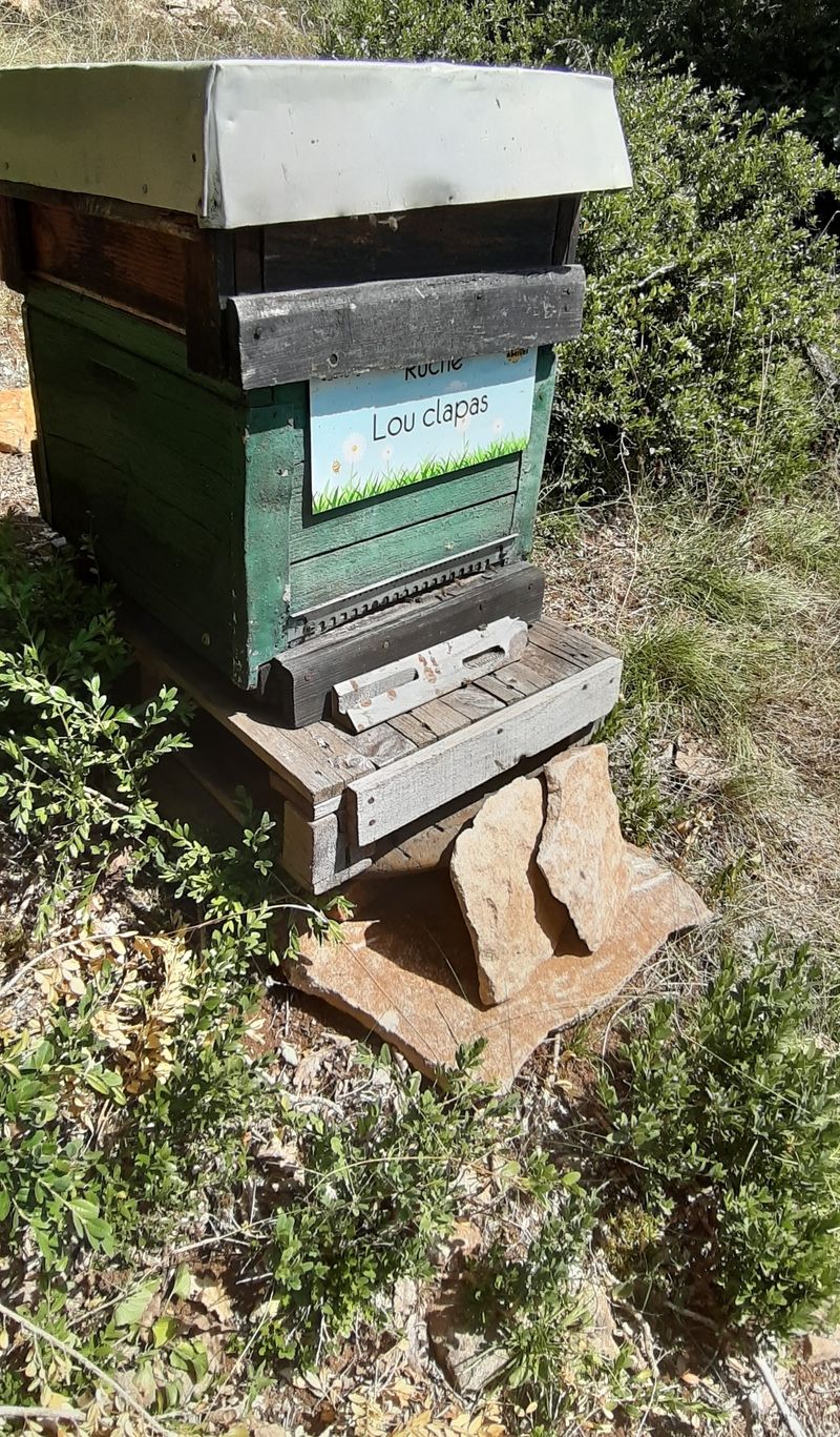La ruche Lou clapas