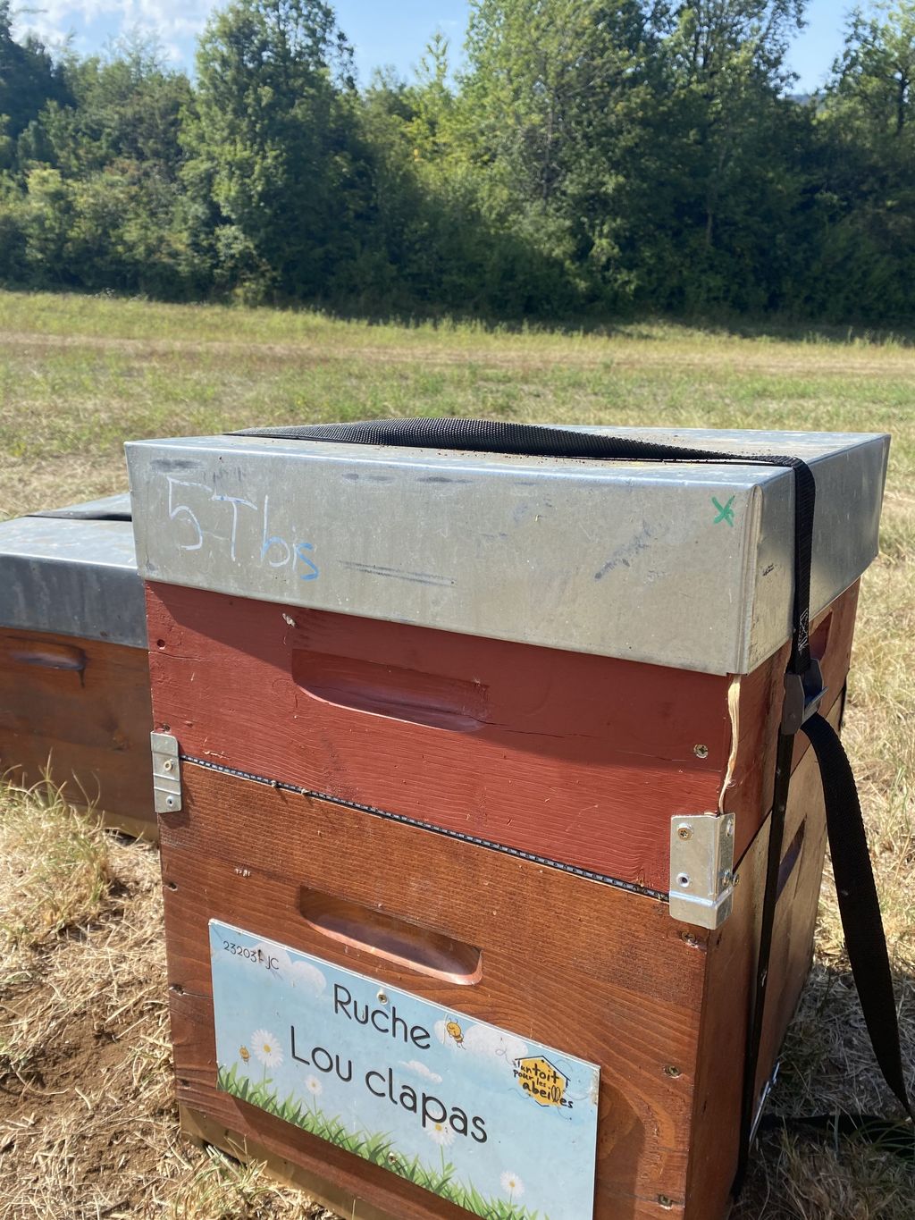 La ruche Lou clapas