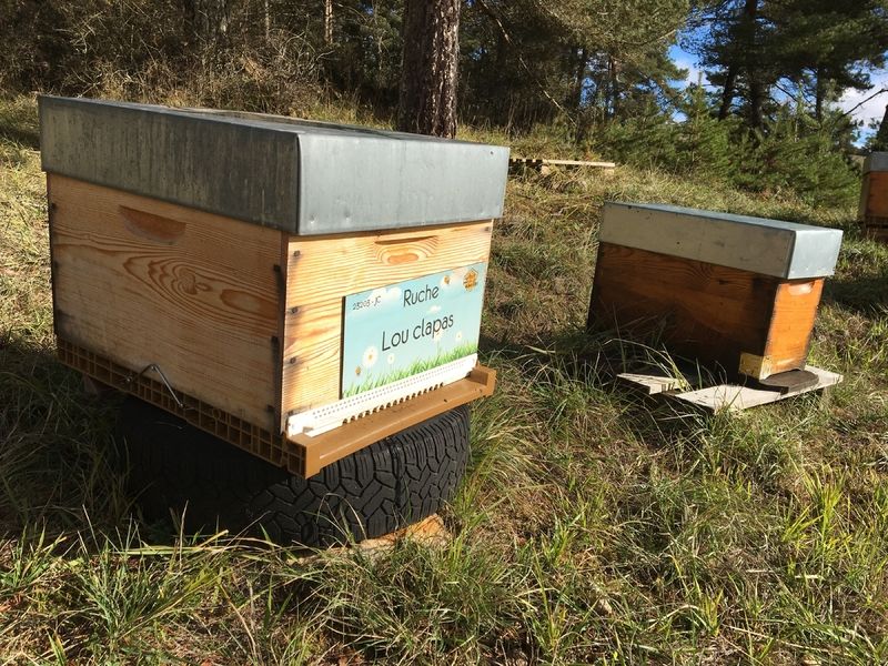La ruche Lou clapas