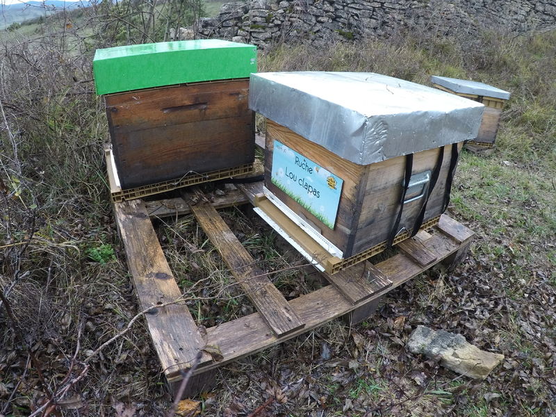 La ruche Lou clapas
