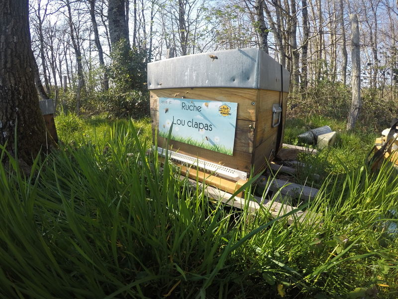 La ruche Lou clapas