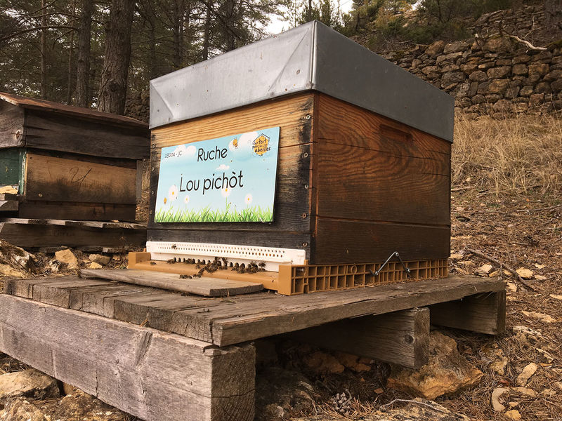 La ruche Lou pichòt