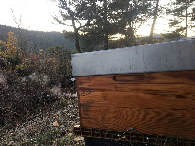 La ruche Lou pichòt