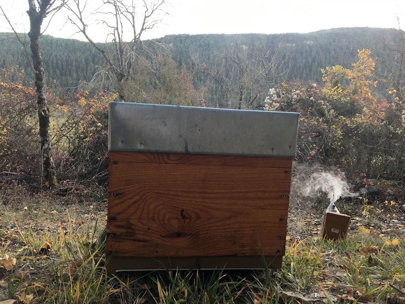 La ruche Lou pichòt