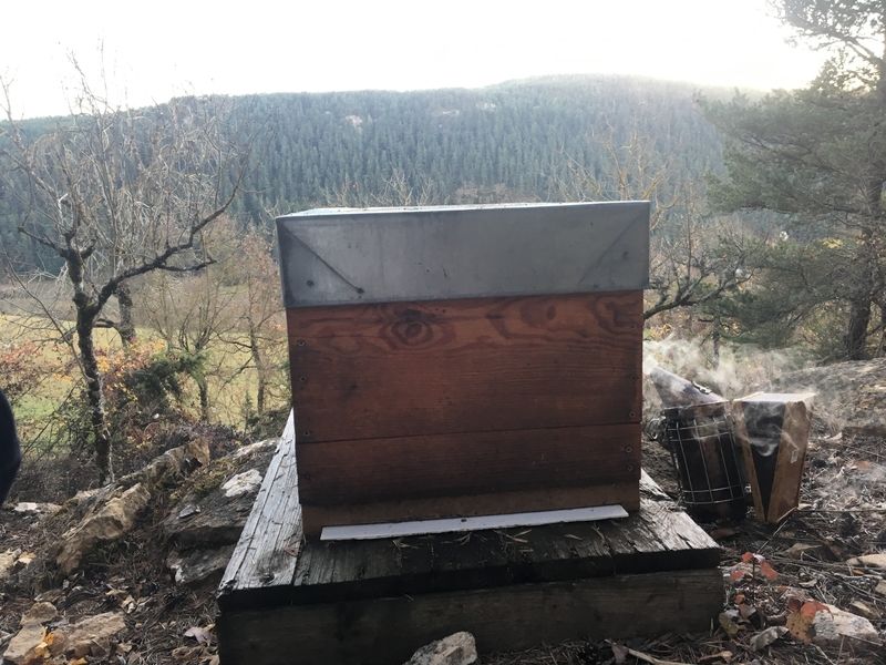 La ruche Lou pichòt