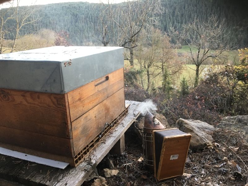 La ruche Lou pichòt