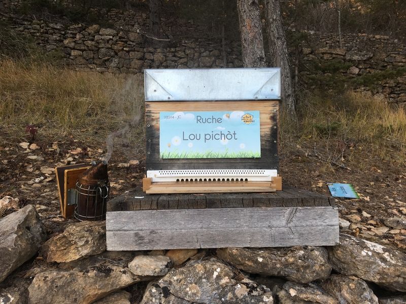 La ruche Lou pichòt
