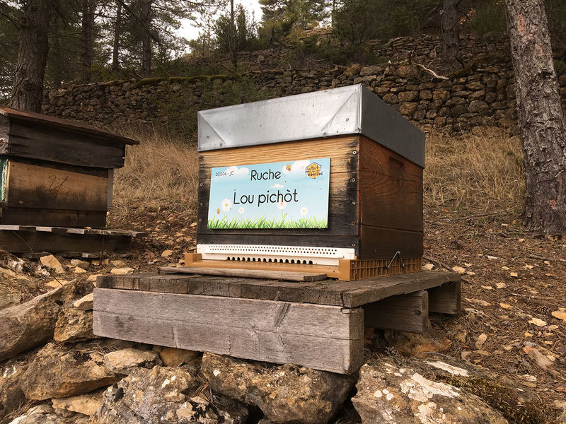 La ruche Lou pichòt