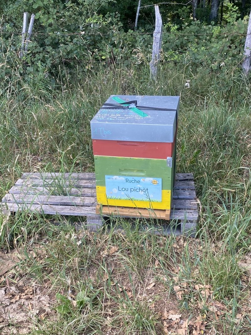 La ruche Lou pichòt