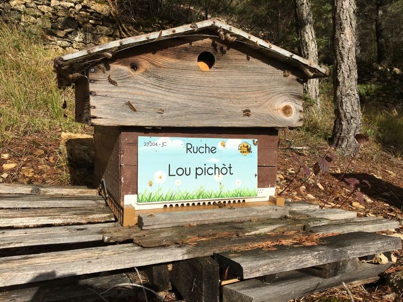 La ruche Lou pichòt