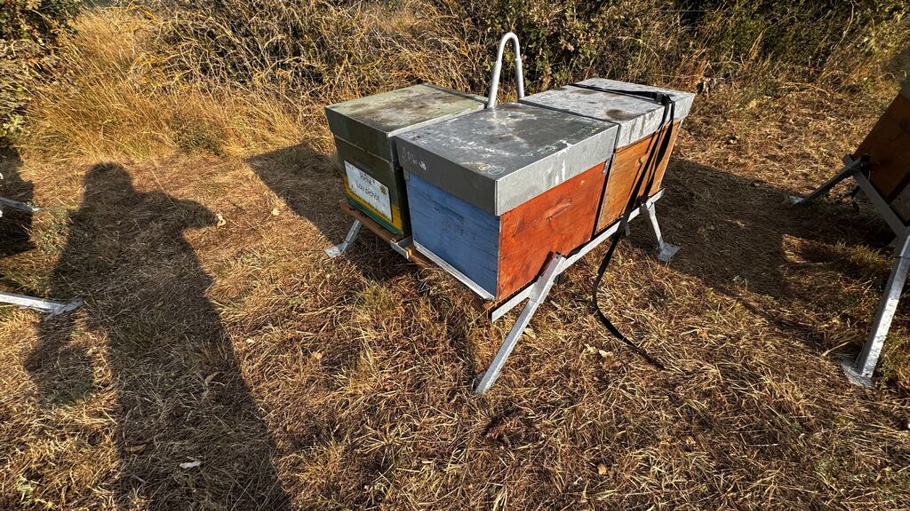 La ruche Lou pichòt