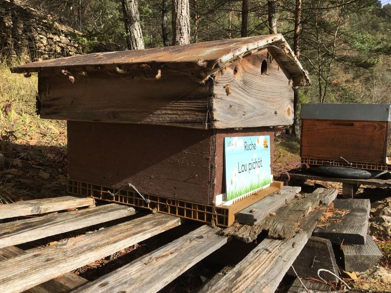 La ruche Lou pichòt