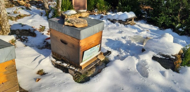 La ruche Lou pichòt