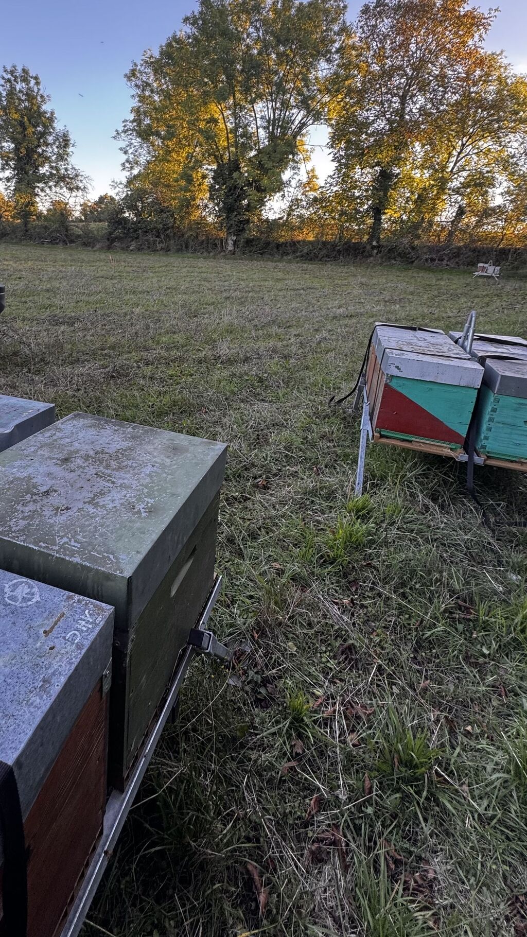 La ruche Lou pichòt