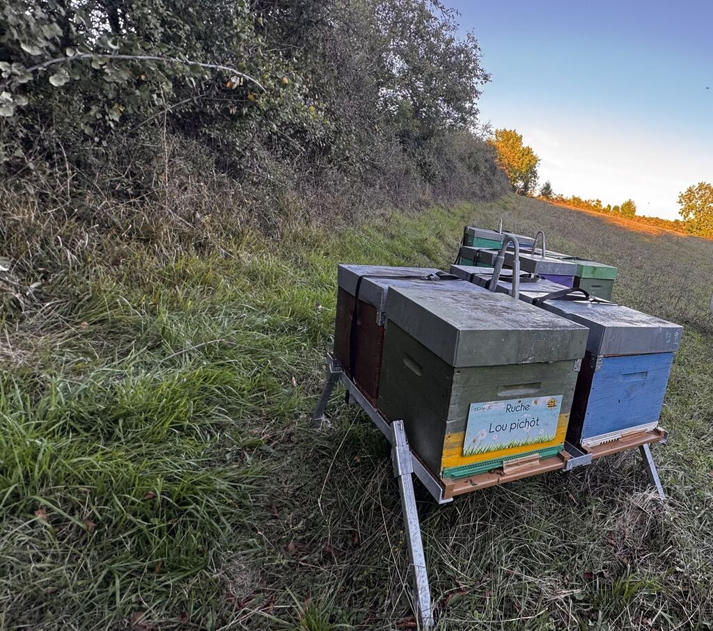 La ruche Lou pichòt