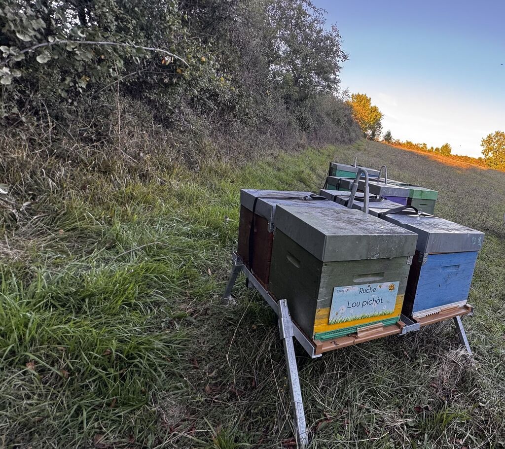 La ruche Lou pichòt