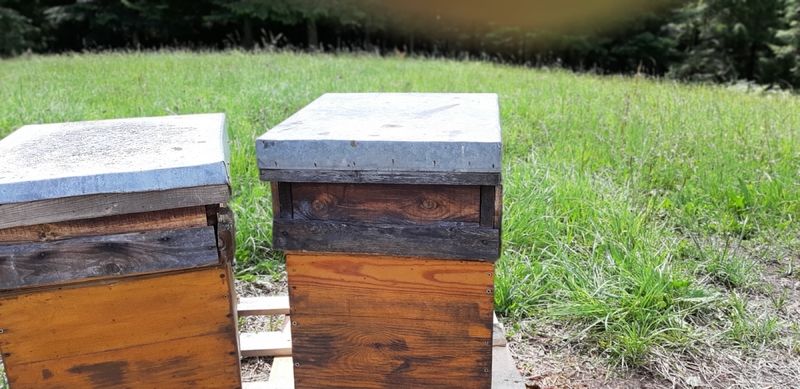 La ruche Lou pichòt