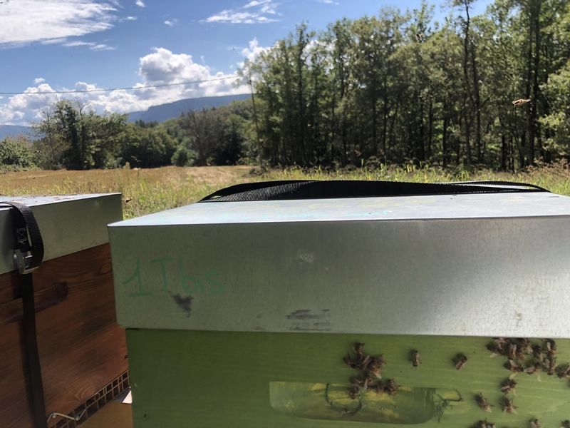 La ruche Lou pichòt