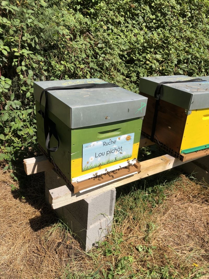 La ruche Lou pichòt
