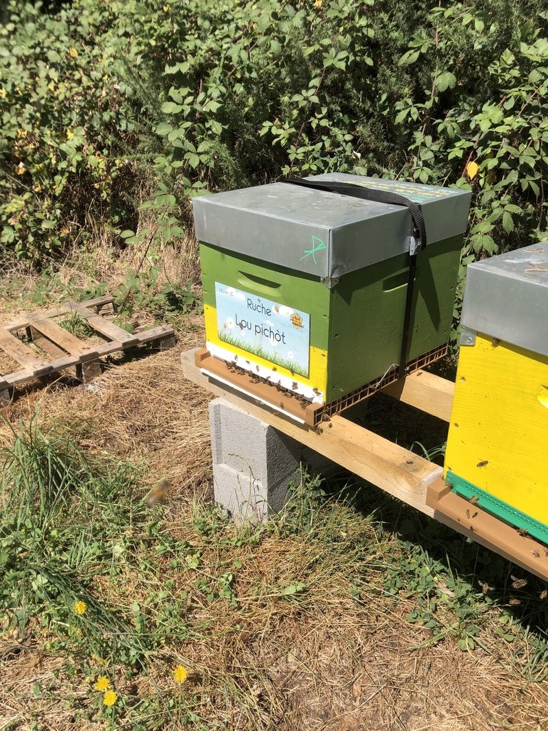La ruche Lou pichòt