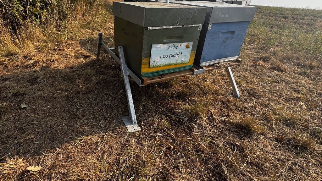 La ruche Lou pichòt