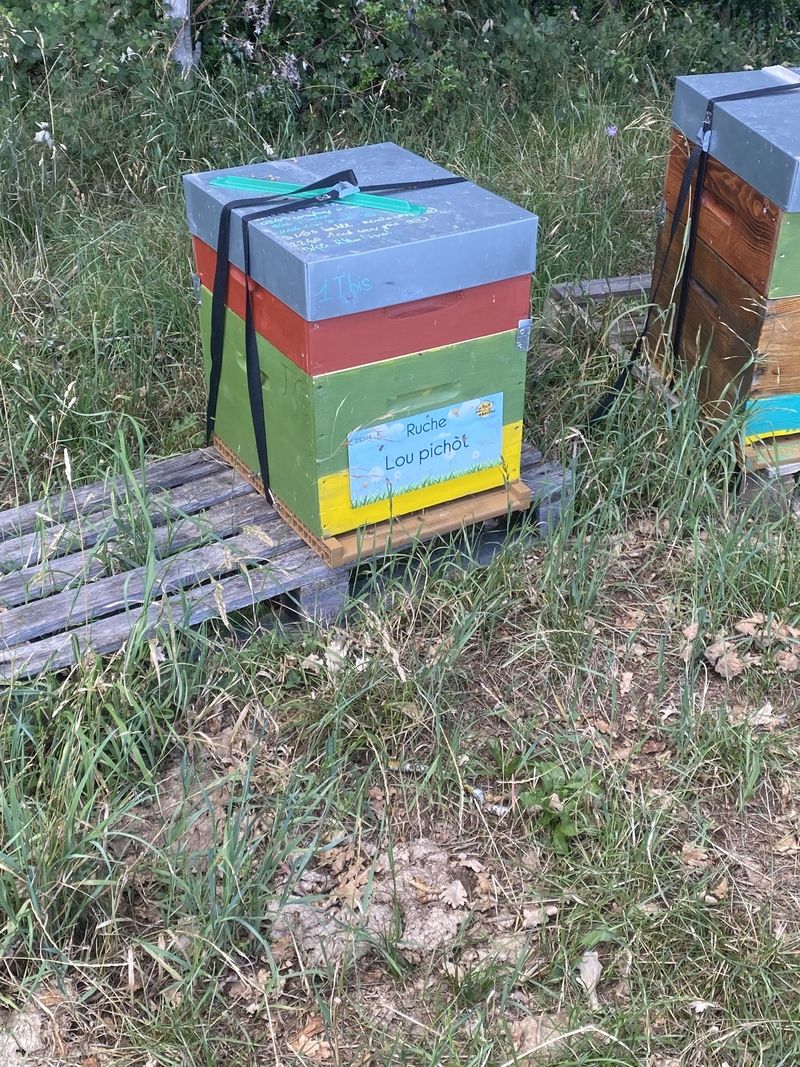 La ruche Lou pichòt
