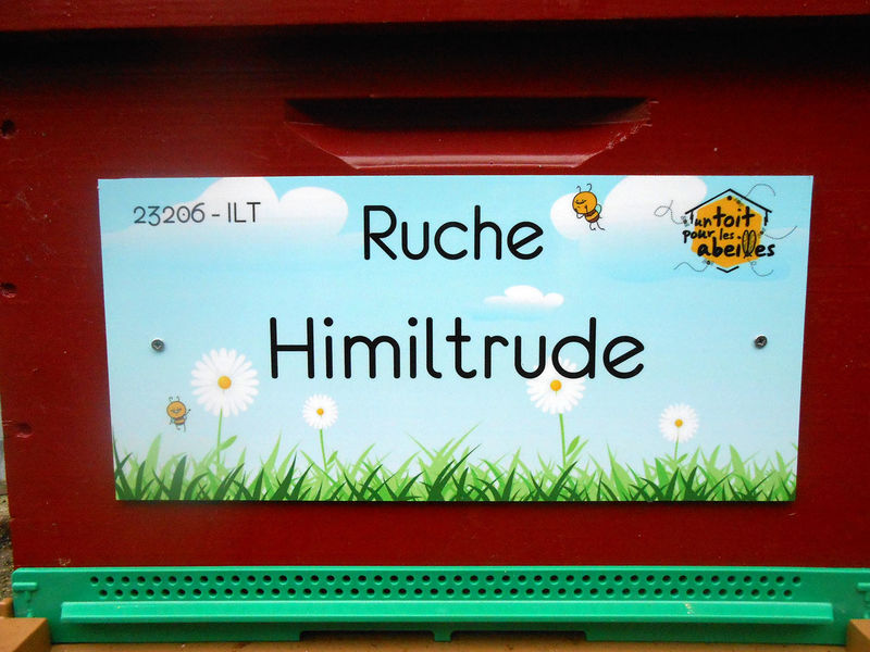 La ruche Himiltrude