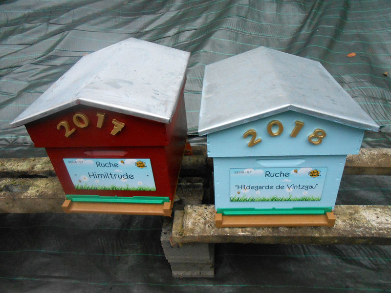 La ruche Himiltrude