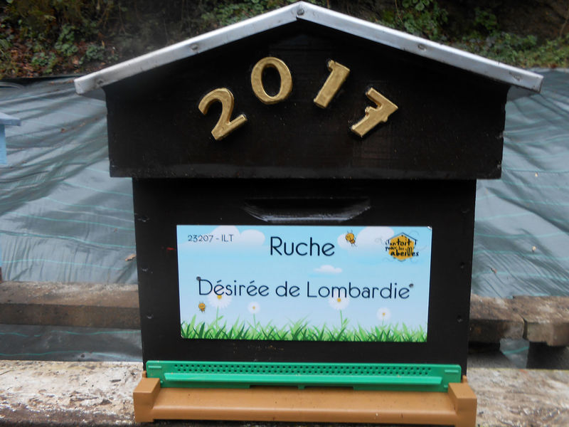 La ruche Désirée de Lombardie